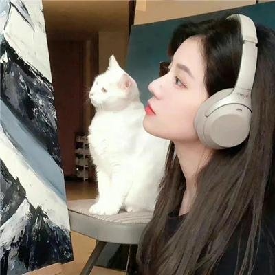 诗和远方的聚会 封面