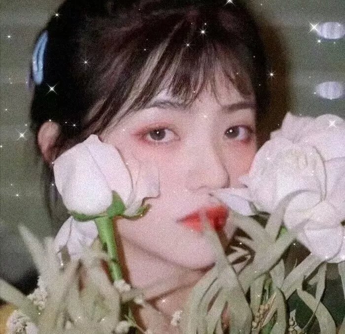 寡妇春情 封面